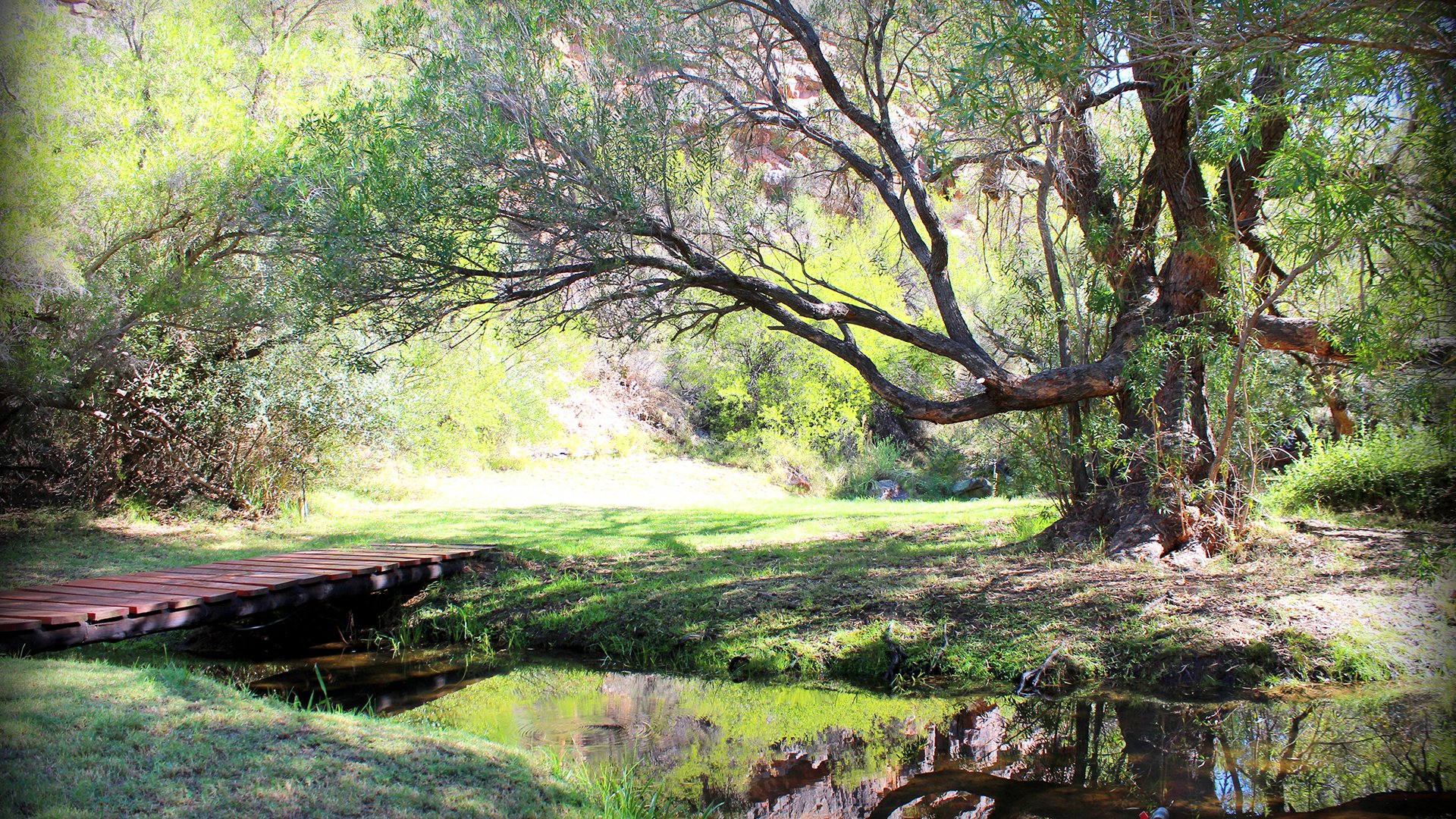 Forest campsite stream with reflective water and natural surroundings