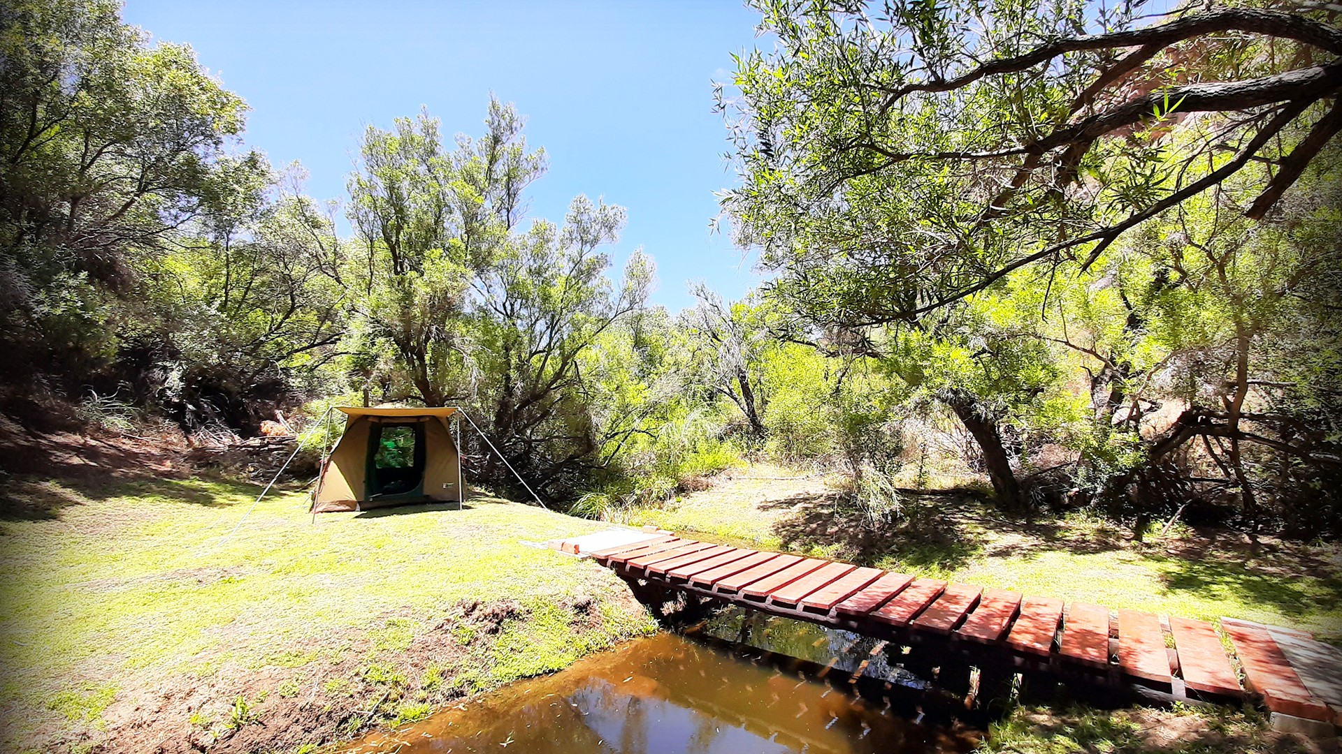 Forest campsite wooden bridge over stream with tent camping area
