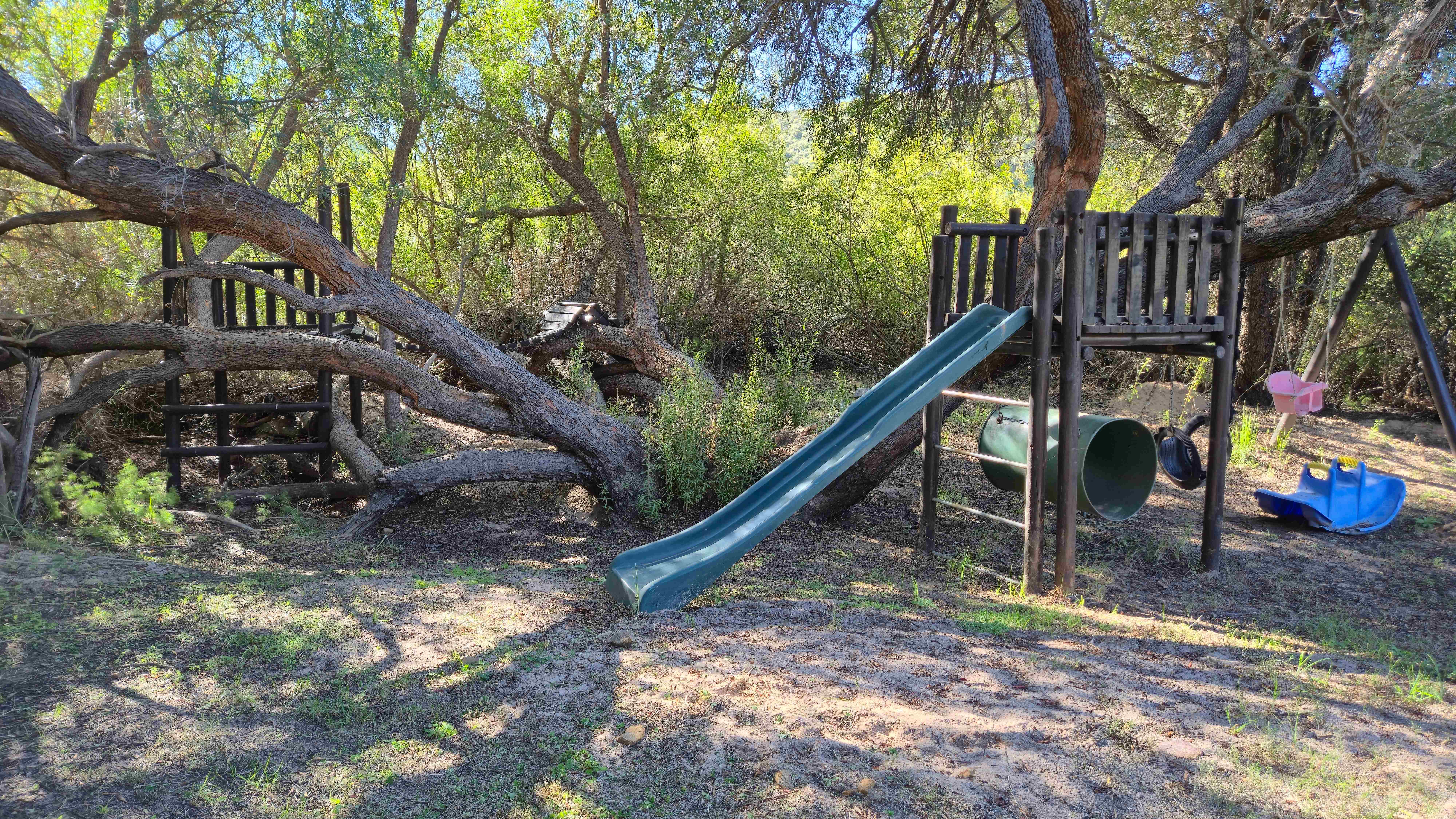 Children's playground with slide, climbing structures and swings nestled among indigenous trees